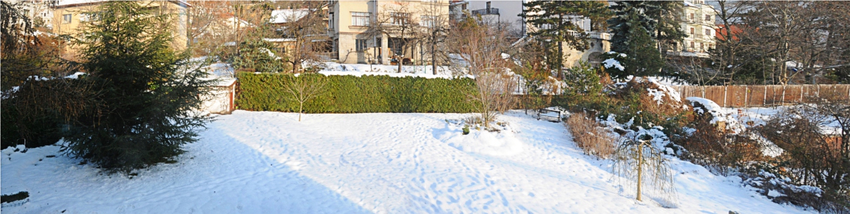 zahrada5.jpg (365180 bytes)